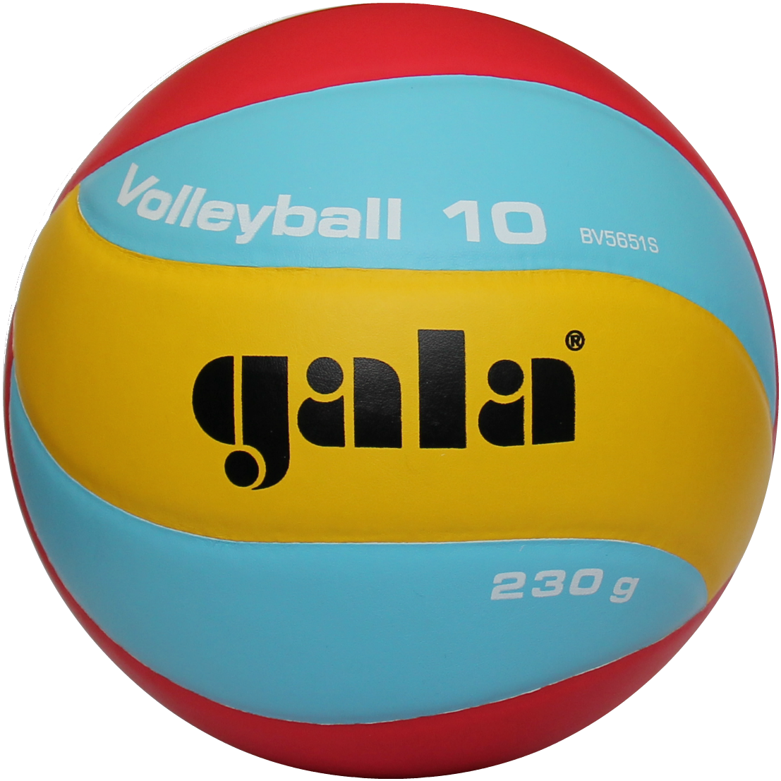 New Pro-Line BV5591S Top Quality Match Volley Ball Size 5 